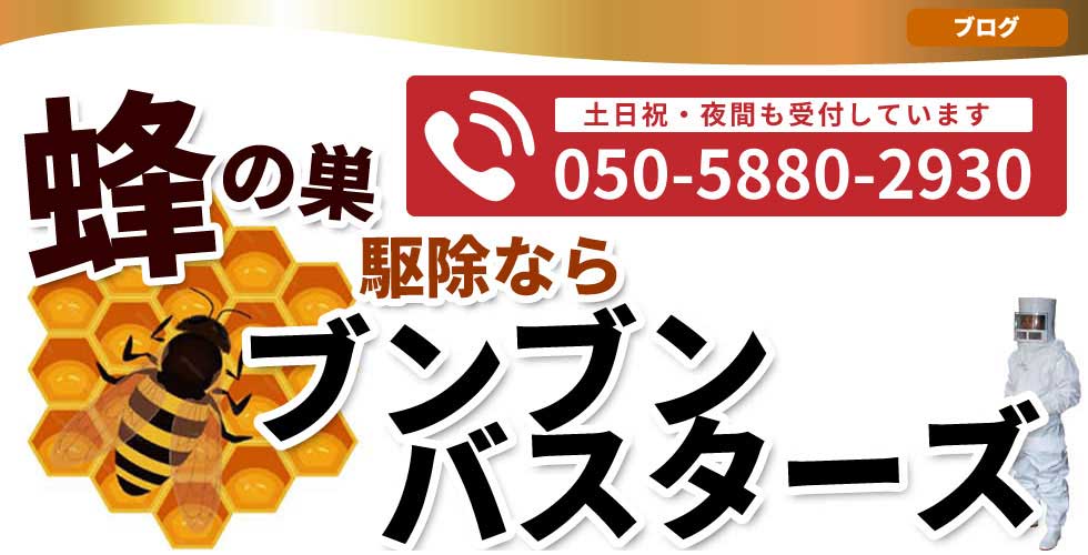 蜂の巣駆除